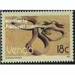  1 عدد تمبر خزنده  - وندا - آفریقای جنوبی 1989 