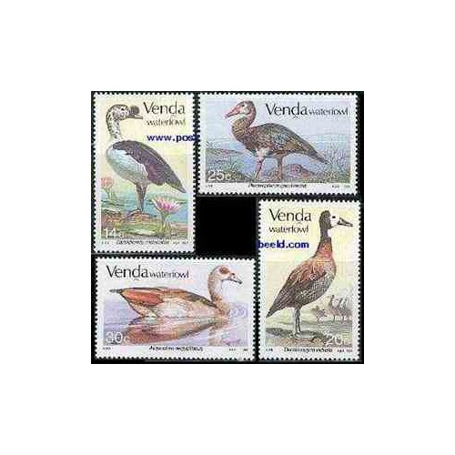 4 عدد تمبر پرندگان آبزی - وندا - آفریقای جنوبی 1987 