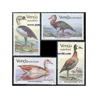 4 عدد تمبر پرندگان آبزی - وندا - آفریقای جنوبی 1987 