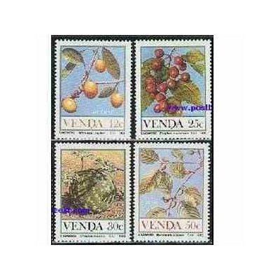 4 عدد تمبر میوه ها - وندا - آفریقای جنوبی 1985
