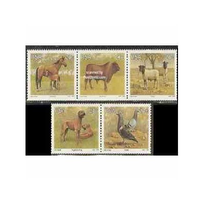  5 عدد تمبر حیوانات - آفریقای جنوبی 1991 