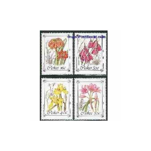 4 عدد تمبر گلها - آفریقای جنوبی - سیسکی 1988