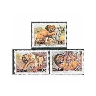  3 عدد تمبر شیر دانا  - سیسکی آفریقای جنوبی 1989 