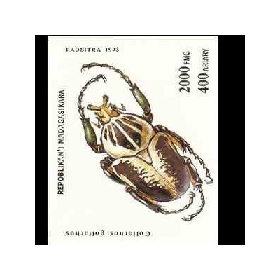 سونیرشیت  بندپایان - ماداگاسکار 1993 