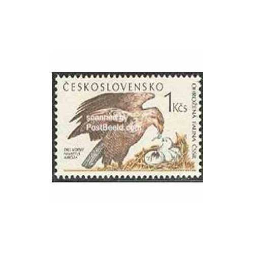 1 عدد تمبر عقاب دریائی - چک اسلواکی 1989 