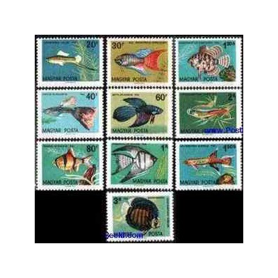 10 عدد تمبر ماهیها - مجارستان 1962