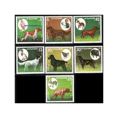 7 عدد تمبر سگهای شکاری - بلغارستان 1985 