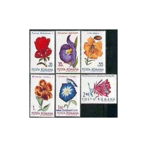 6 عدد تمبر گلها - رومانی 1971