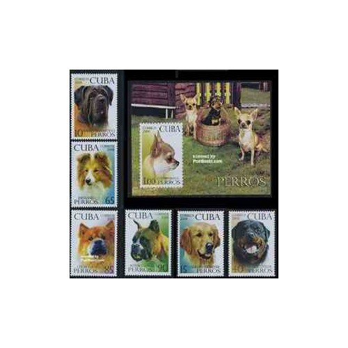 سونیرشیت و 6 عدد تمبر سگها - کوبا 2008