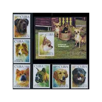 سونیرشیت و 6 عدد تمبر سگها - کوبا 2008