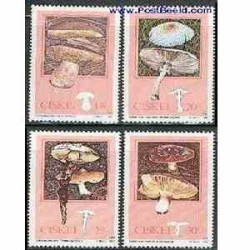 4 عدد تمبر قارچها - سیسکی - آفریقای جنوبی 1987 