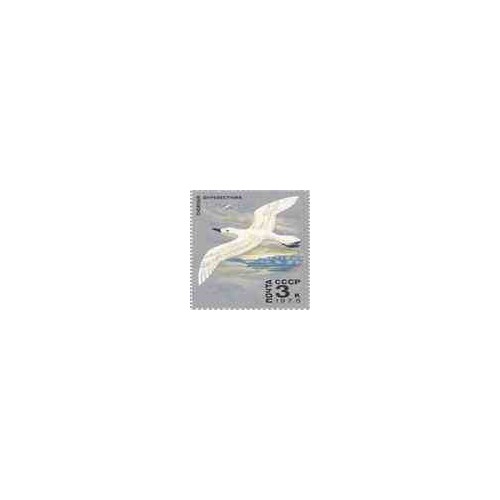 1 عدد تمبر پرندگان دریائی - روسیه 1978  