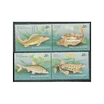 4 عدد تمبر ماهی - مجارستان 1997