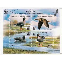 3389 - بلوک یادگاری غاز پیشانی سفید کوچک 1394 - WWF