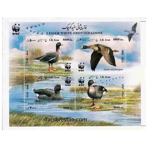 3389 - بلوک یادگاری غاز پیشانی سفید کوچک 1394 - WWF