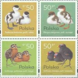 4 عدد تمبر پرندگان آبزی جوان - B - لهستان 1997