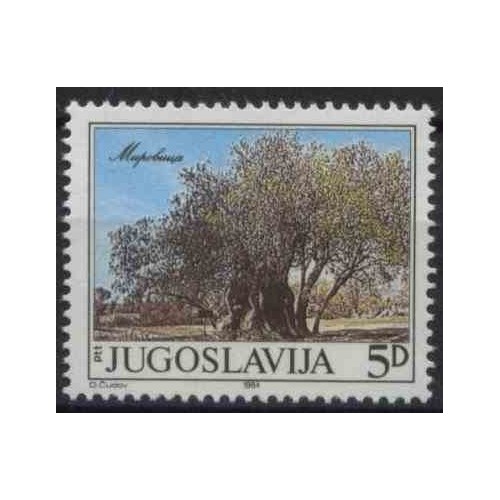 1 عدد تمبر درخت پیر در میروویچا - یوگوسلاوی 1984