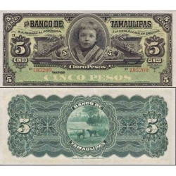 اسکناس 5 پزو ایالتی - بانک تامائولیپاس - سری H -  مکزیک 1902 سفارشی