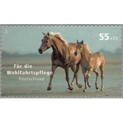 1 عدد تمبر رفاه حیوانات خانگی - اسب- خودچسب - جمهوری فدرال آلمان 2007