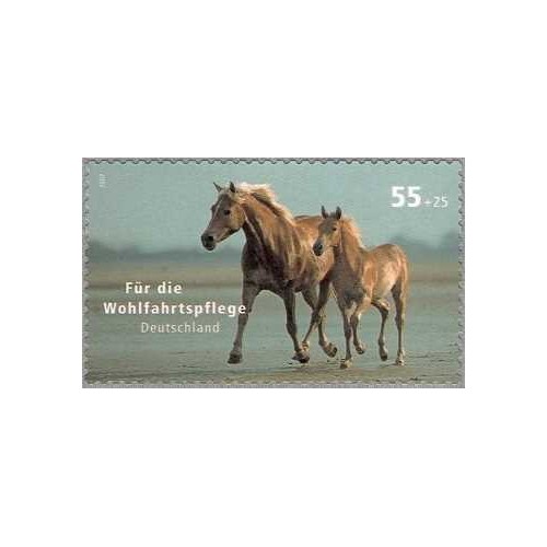 1 عدد تمبر رفاه حیوانات خانگی - اسب- خودچسب - جمهوری فدرال آلمان 2007