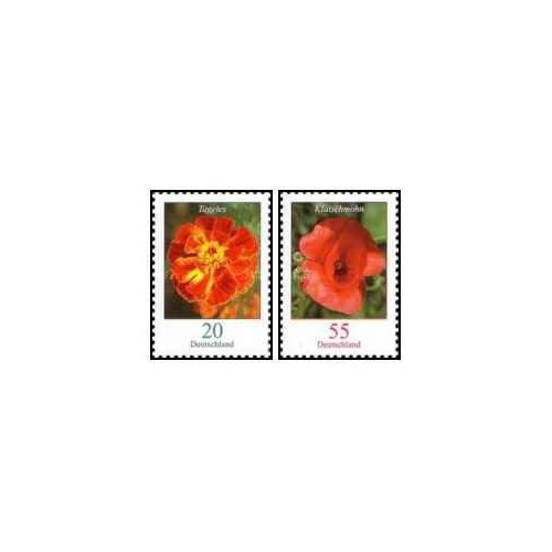 2 عدد تمبر سری پستی - کلها - 20c و 55c - جمهوری فدرال آلمان 2005 2 عدد تمبر سری پستی - کلها - 20c و 55c - جمهوری فدرال آلمان 2005