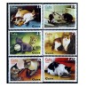 6 عدد تمبر گربه ها - کوبا 2009