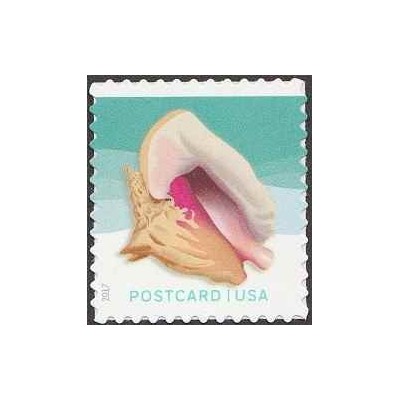 1 عدد تمبر سری پستی صدف های دریایی - خودچسب - آمریکا 2017