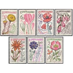 7 عدد  تمبر گیاهان دارویی - چک اسلواکی 1965 قیمت 10.3 دلار