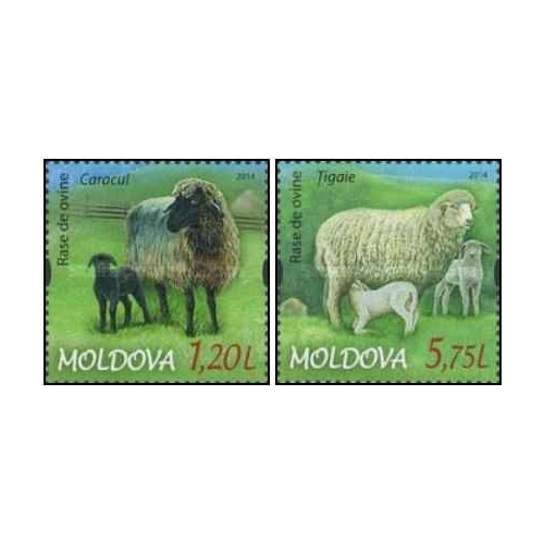 2 عدد تمبر نژادهای گوسفند - مولداوی 2014