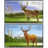 2 عدد تمبر گوزنها - تمبر مشترک با قزاقستان - مولداوی 2008