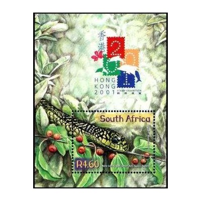 سونیرشیت سال نو چینی - سال اژدها - آفریقای جنوبی 2000