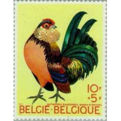 1 عدد تمبر پرندگان - مرغ -  بلژیک 1969