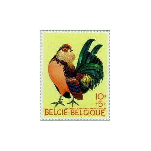 1 عدد تمبر پرندگان - مرغ -  بلژیک 1969