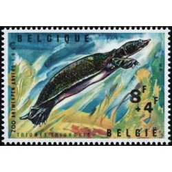 1 عدد تمبر باغ وحش آنتورپ - بلژیک 1965 تمبر مینی شیت