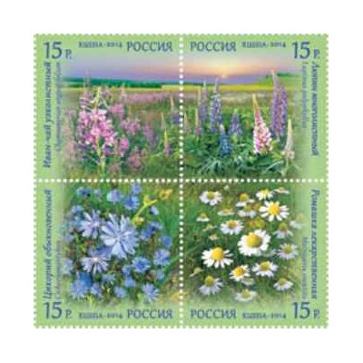 4 عدد  تمبر گیاهان - گلهای وحشی - روسیه 2014