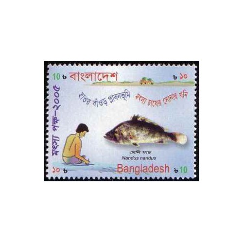 1 عدد تمبر تغذیه دو هفته یکبار ماهی - بنگلادش 2005