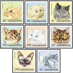 8 عدد تمبر گربه های اهلی - یکی از تمبرها گربه پرشین - مجارستان 1968 قیمت 7 دلار
