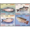 4 عدد تمبر ماهیها - بنگلادش 2001