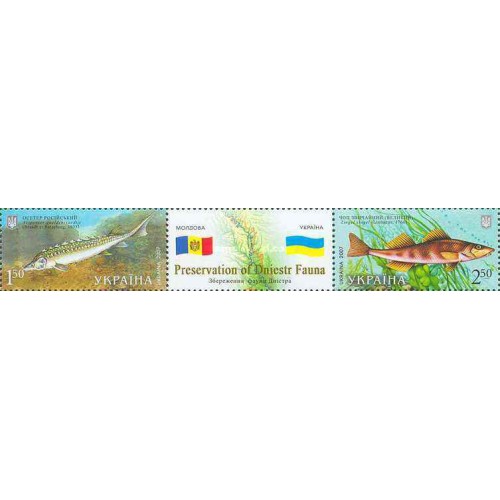 2 عدد  تمبر  مشترک با اوکراین  - ماهیان خاویاری روسی - با تب - B - اوکراین 2007
