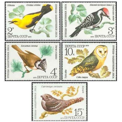 5 عدد  تمبر  پرندگان - شوروی 1979