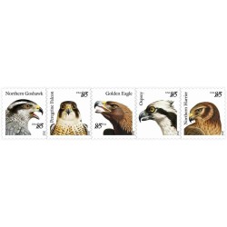 5 عدد  تمبر  پرندگان شکاری - خود چسب - B - آمریکا 2012 ارزش روی تمبرها 4.25 دلار