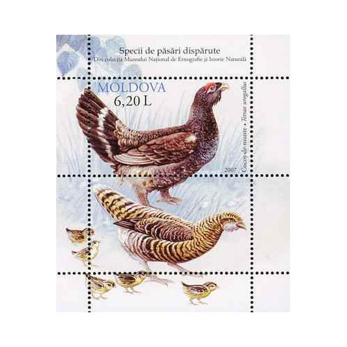 سونیرشیت کاپرکایلی غربی - مولداوی 2007 قیمت 4.3 دلار سونیرشیت کاپرکایلی غربی - مولداوی 2007 قیمت 4.3 دلار