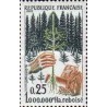 1 عدد  تمبر  احیای جنگل - فرانسه 1965