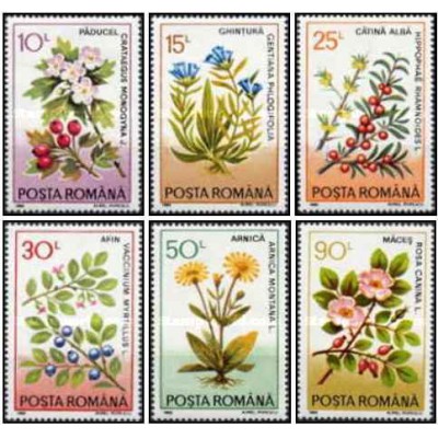6 عدد  تمبر گیاهان دارویی -  رومانی 1993
