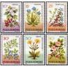 6 عدد  تمبر گیاهان دارویی -  رومانی 1993