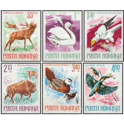 6 عدد تمبر حیوانات محافظت شده -  رومانی 1977