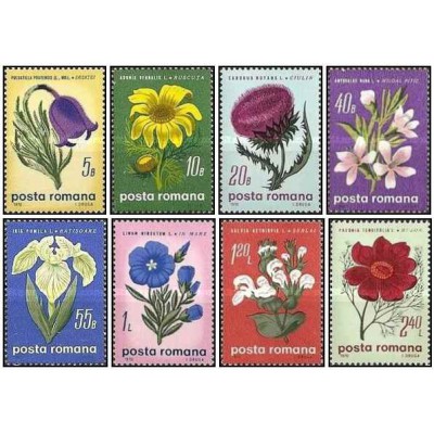 8 عدد تمبر گلها -  رومانی 1970