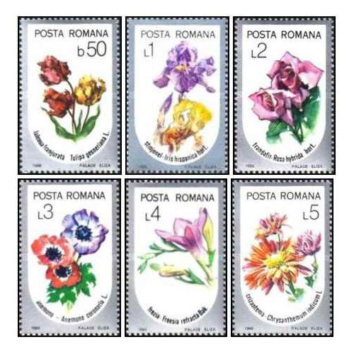 6 عدد تمبر گلها -  رومانی 1986
