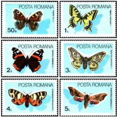 6 عدد تمبر پروانه ها و بیدها -  رومانی 1985