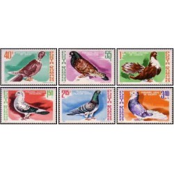 6 عدد تمبر پرندگان - کبوتر -  رومانی 1981